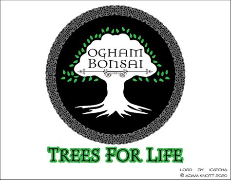 Ogham Bonsai